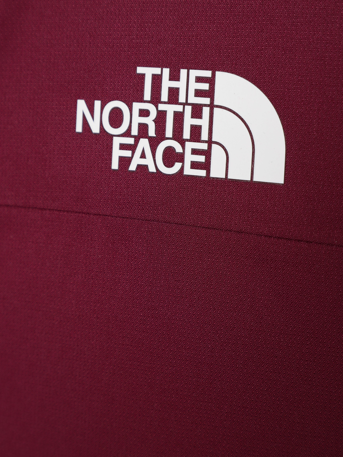 Куртки и дубленки The North Face Freedom Insulated модель NF0A82Y6I0H1 Фото