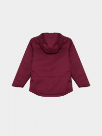 Куртки и дубленки The North Face Freedom Insulated модель NF0A82Y6I0H1 Фото