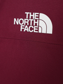 Куртки и дубленки The North Face Freedom Insulated модель NF0A82Y6I0H1 Фото