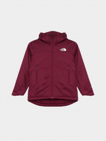 Куртки та дублянки The North Face Freedom Insulated модель NF0A82Y6I0H1 Фото