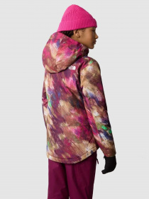 Куртки и дубленки The North Face Freedom Insulated модель NF0A82Y6OME1 Фото
