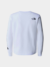 Худі та світшоти The North Face New Graphic модель NF0A87BBFN41 Фото