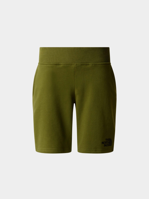 Шорты The North Face Cotton Shorts модель NF0A89P0PIB1 Фото