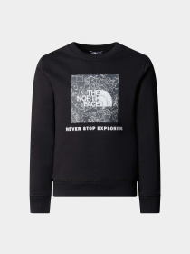 Худи и свитшоты The North Face Redbox Crew модель NF0A89PCYCO1 Фото