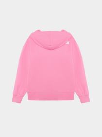 Худи и свитшоты The North Face G Fz Oversize Light Hoodie модель NF0A877QPIH1 Фото