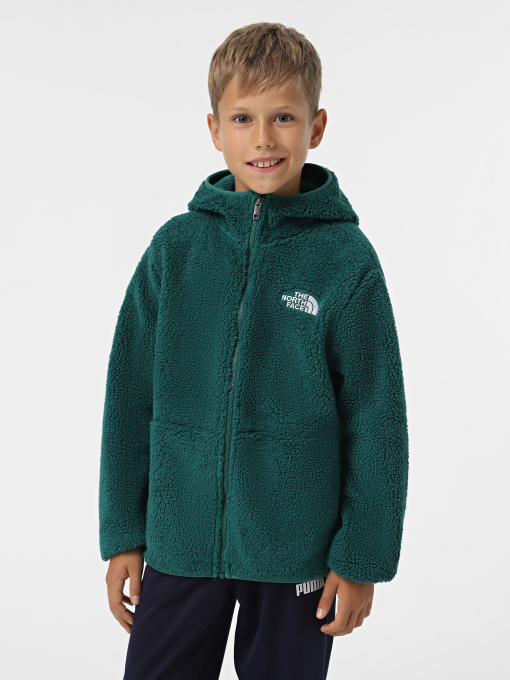 Худи и свитшоты The North Face Campshire модель NF0A89KBNL11 Фото