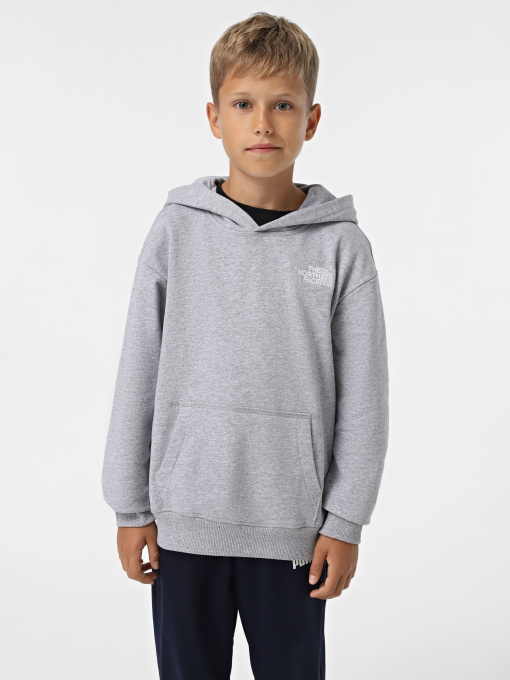Худи и свитшоты The North Face Teen Essential модель NF0A89HADYX1 Фото