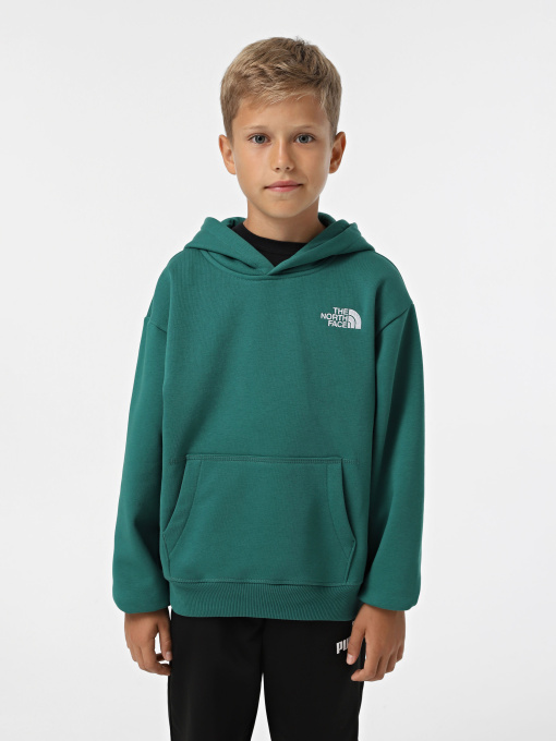 Худи и свитшоты The North Face Teen Essential модель NF0A89HANL11 Фото