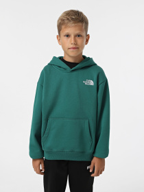 Худи и свитшоты The North Face Teen Essential модель NF0A89HANL11 Фото