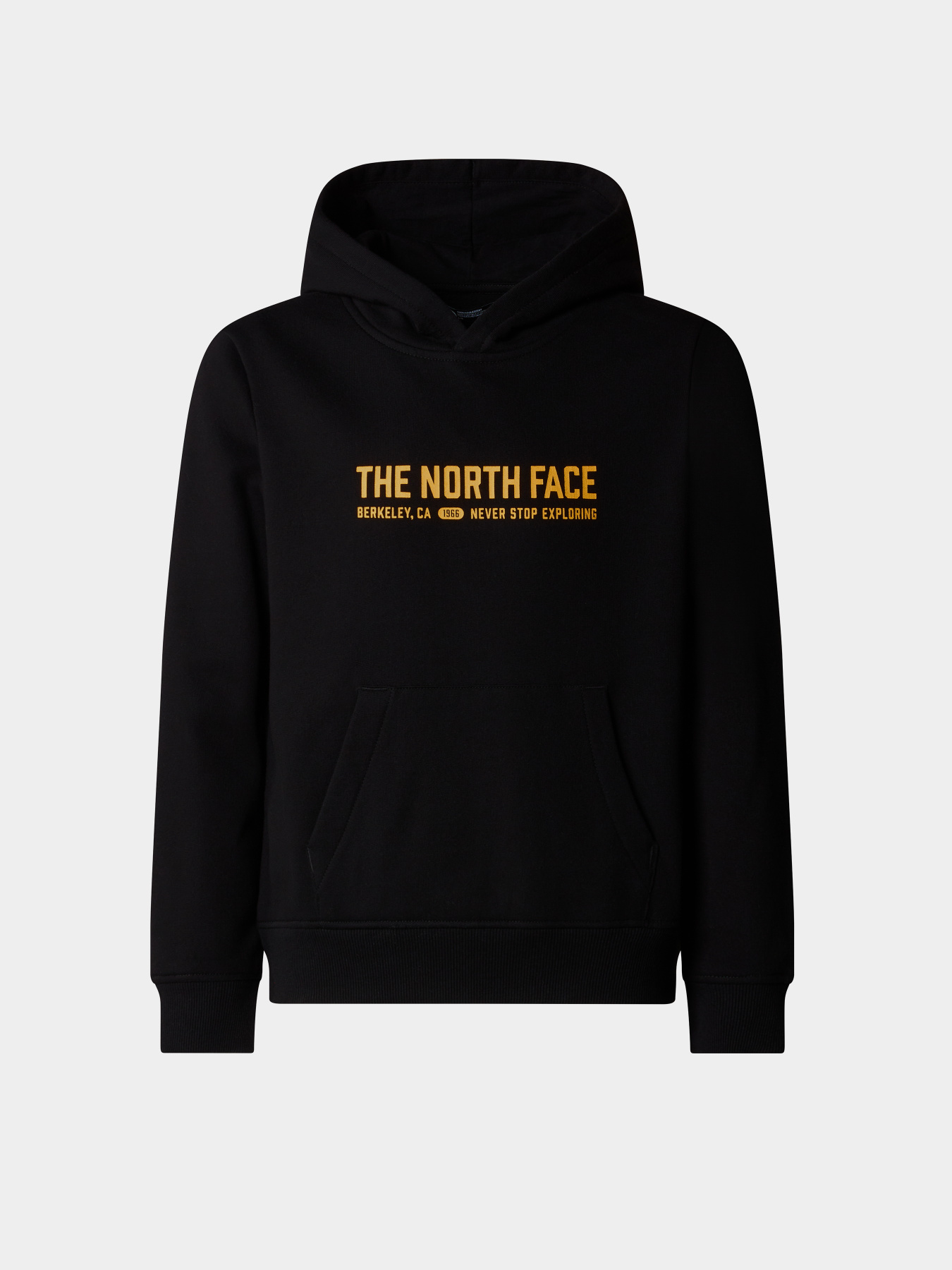 Худи и свитшоты The North Face Graphic модель NF0A89HBJK31 Фото