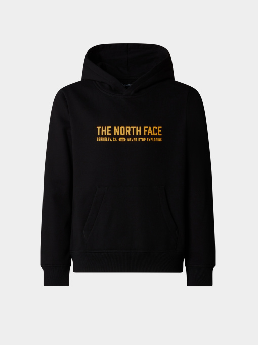 Худи и свитшоты The North Face Graphic модель NF0A89HBJK31 Фото