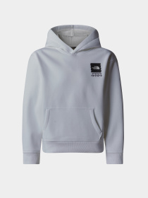 Худи и свитшоты The North Face Coordinates Graphic модель NF0A89HKFN41 Фото