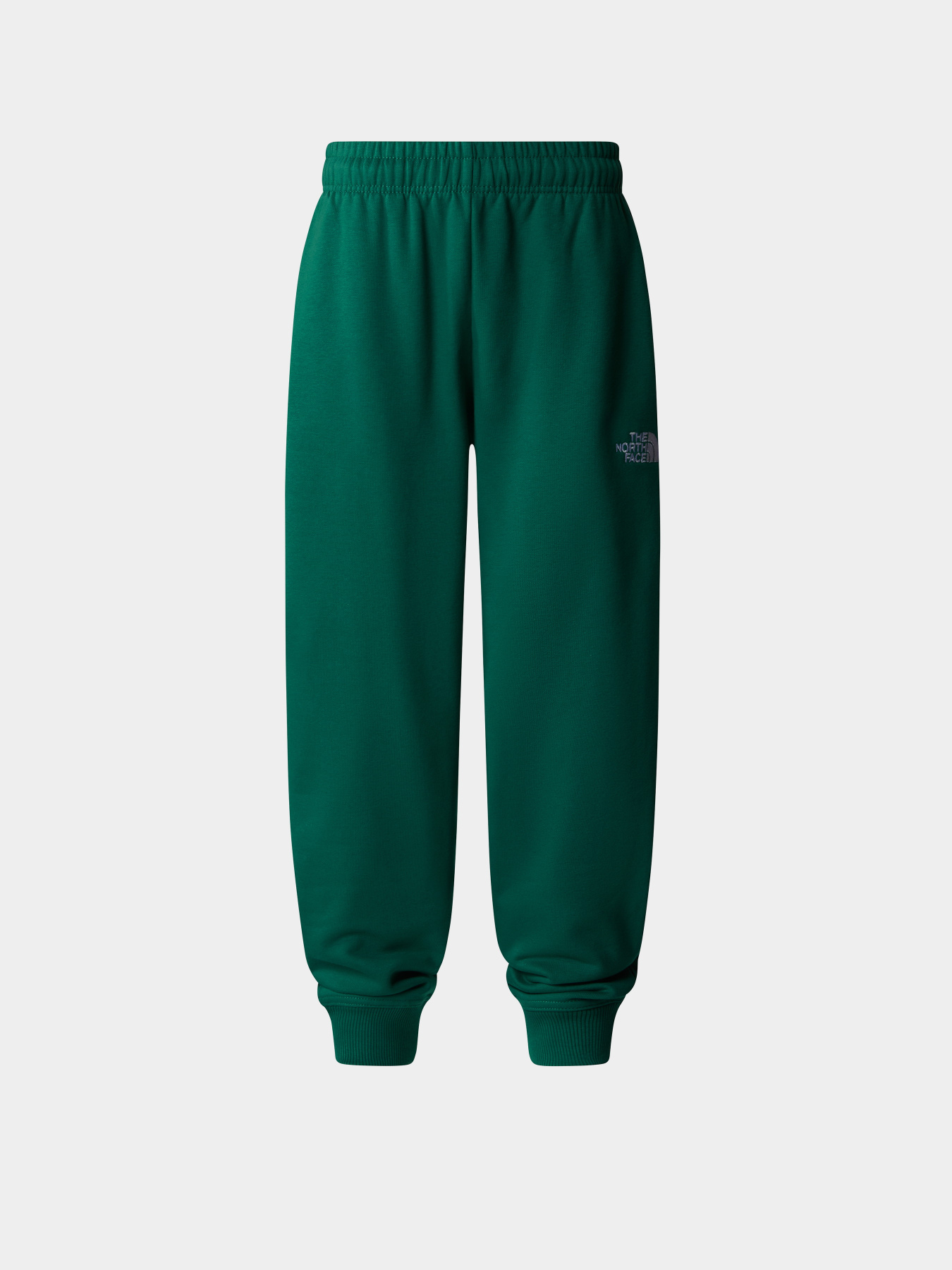 Брюки The North Face Teen Essential модель NF0A89HUNL11 Фото