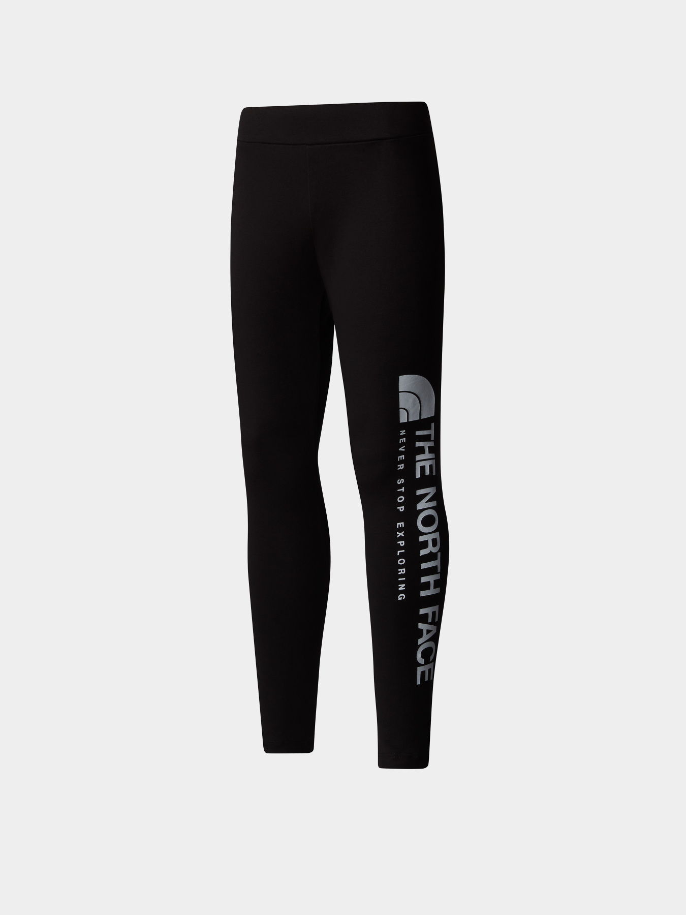 Брюки The North Face Vertical Graphic модель NF0A89HVJK31 Фото
