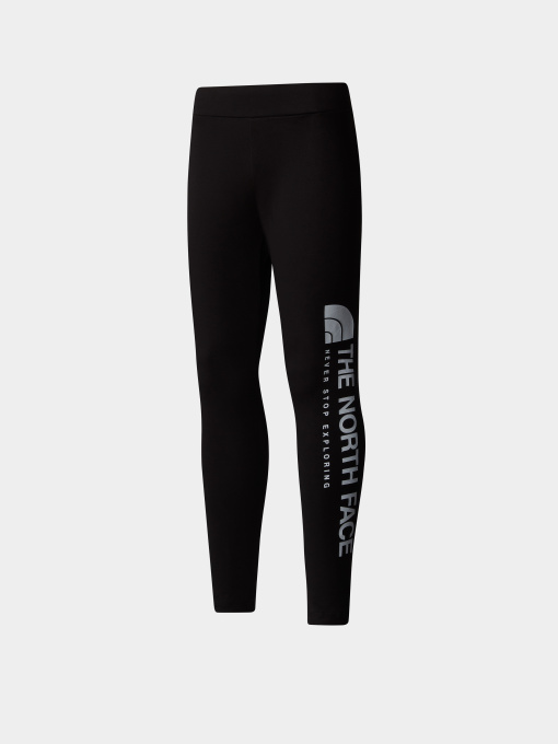 Брюки The North Face Vertical Graphic модель NF0A89HVJK31 Фото