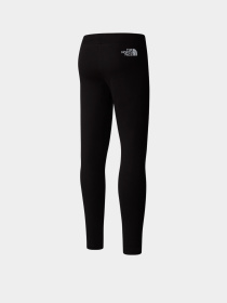 Брюки The North Face Vertical Graphic модель NF0A89HVJK31 Фото