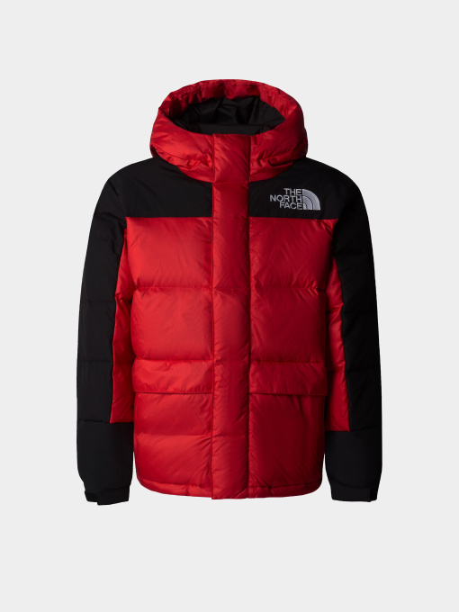 Куртки и дубленки The North Face Hmlyn Down модель NF0A88UY6821 Фото