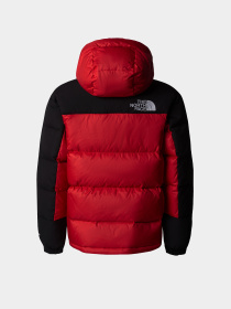 Куртки и дубленки The North Face Hmlyn Down модель NF0A88UY6821 Фото