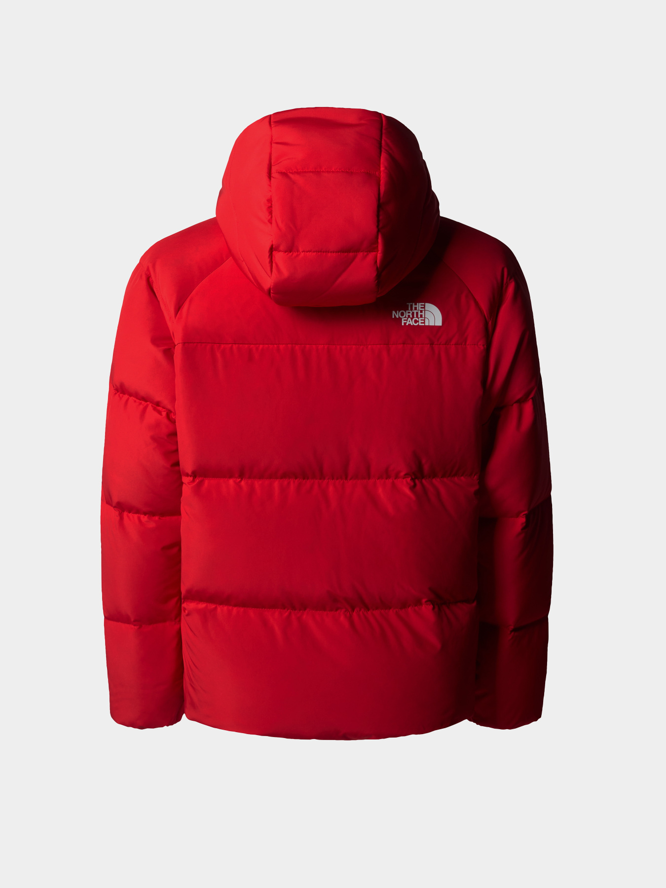 Куртки та дублянки The North Face North Down Hooded модель NF0A88TX6821 Фото