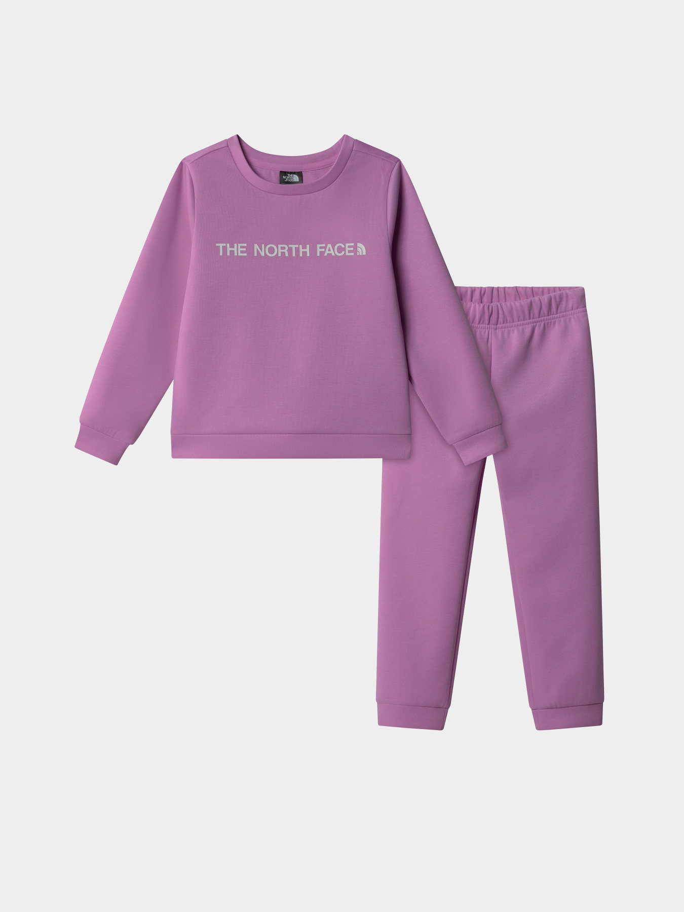 Костюми The North Face Poly модель NF0A89H31I81 Фото
