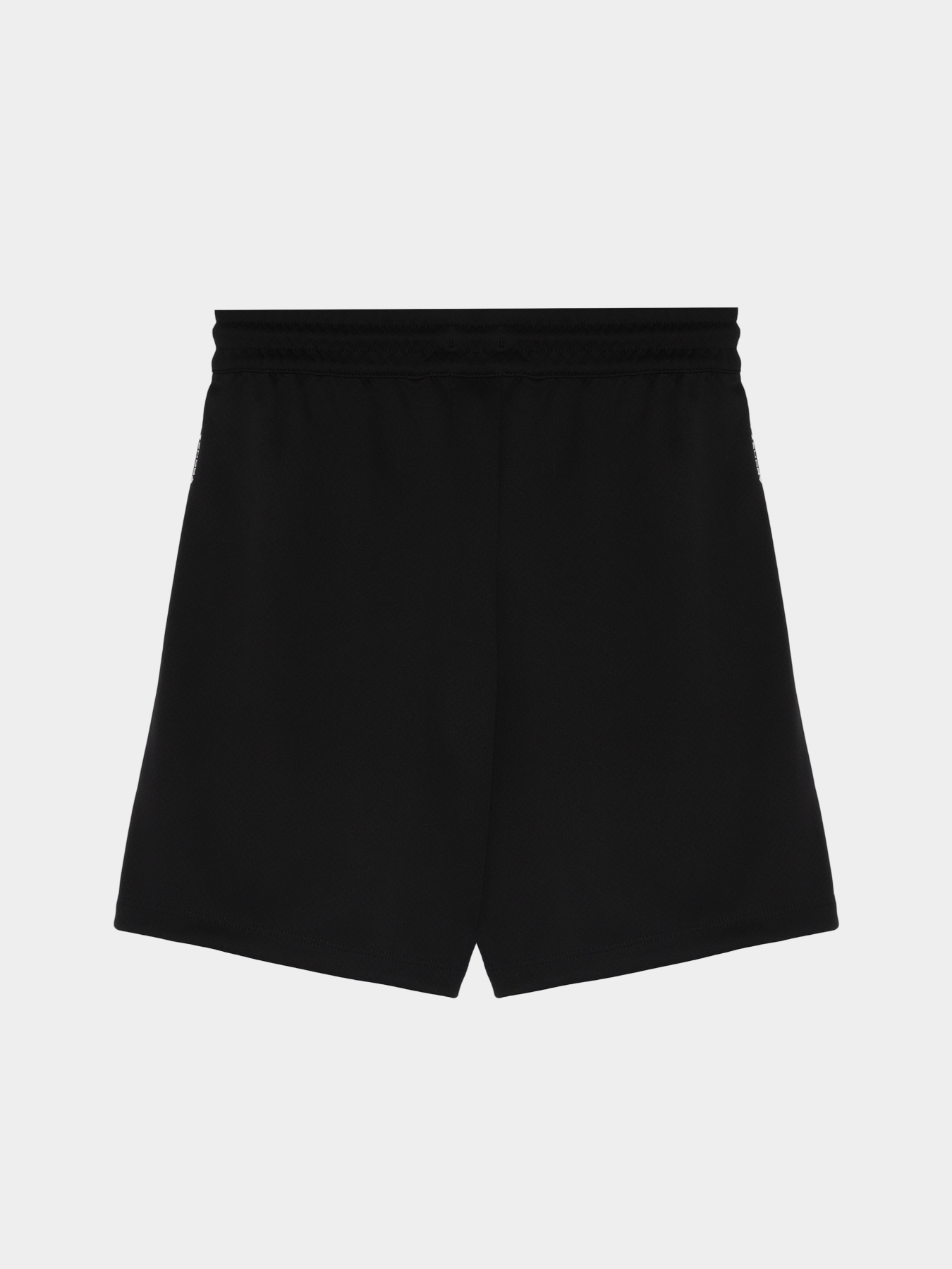Шорти The North Face Never Stop модель NF0A86U4JK31 Фото