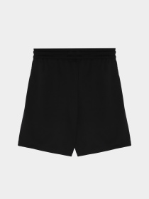 Шорти The North Face Never Stop модель NF0A86U4JK31 Фото