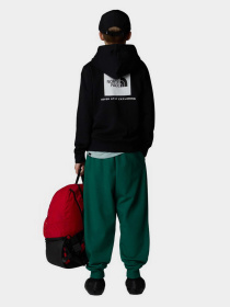 Худі та світшоти The North Face NSE Box модель NF0A89H9JK31 Фото