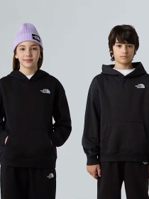 Худи и свитшоты The North Face Essential модель NF0A89HAJK31 Фото