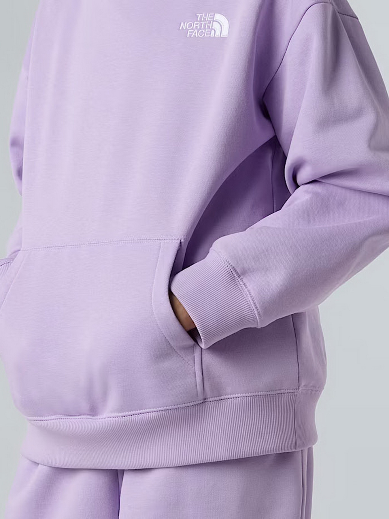 Худі та світшоти The North Face Essential модель NF0A89HAQZI1 Фото