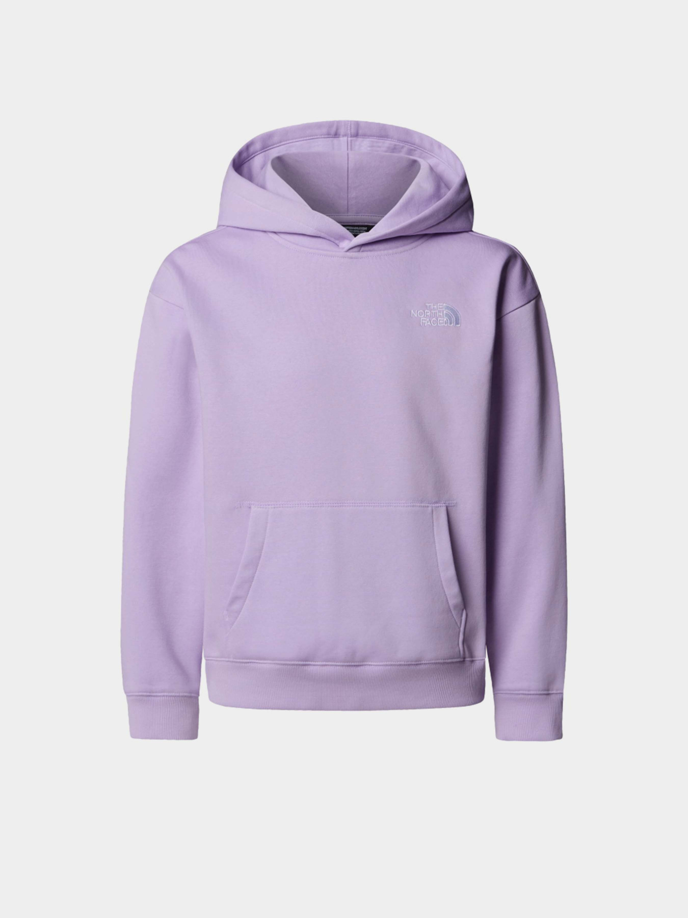 Худі та світшоти The North Face Essential модель NF0A89HAQZI1 Фото