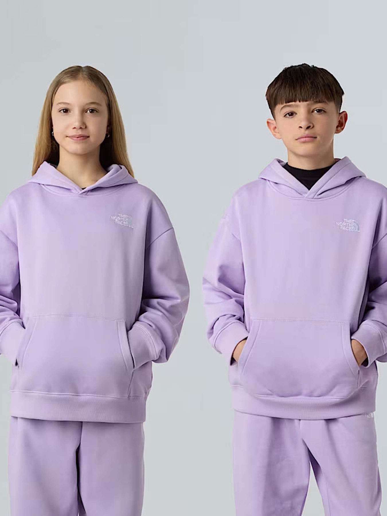 Худі та світшоти The North Face Essential модель NF0A89HAQZI1 Фото