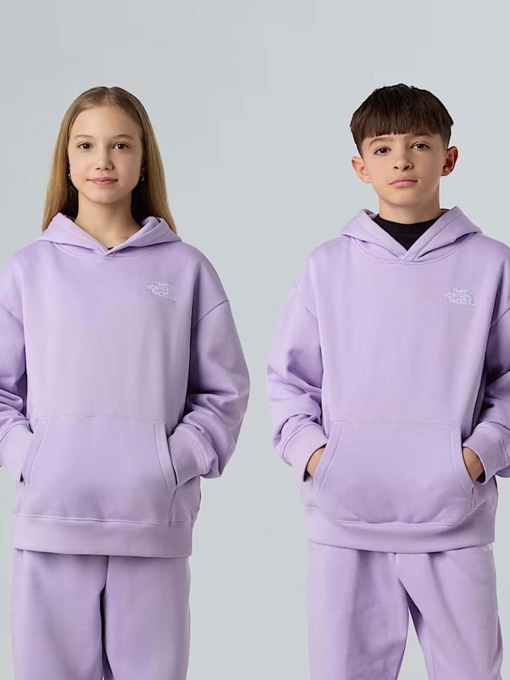 Худи и свитшоты The North Face Essential модель NF0A89HAQZI1 Фото