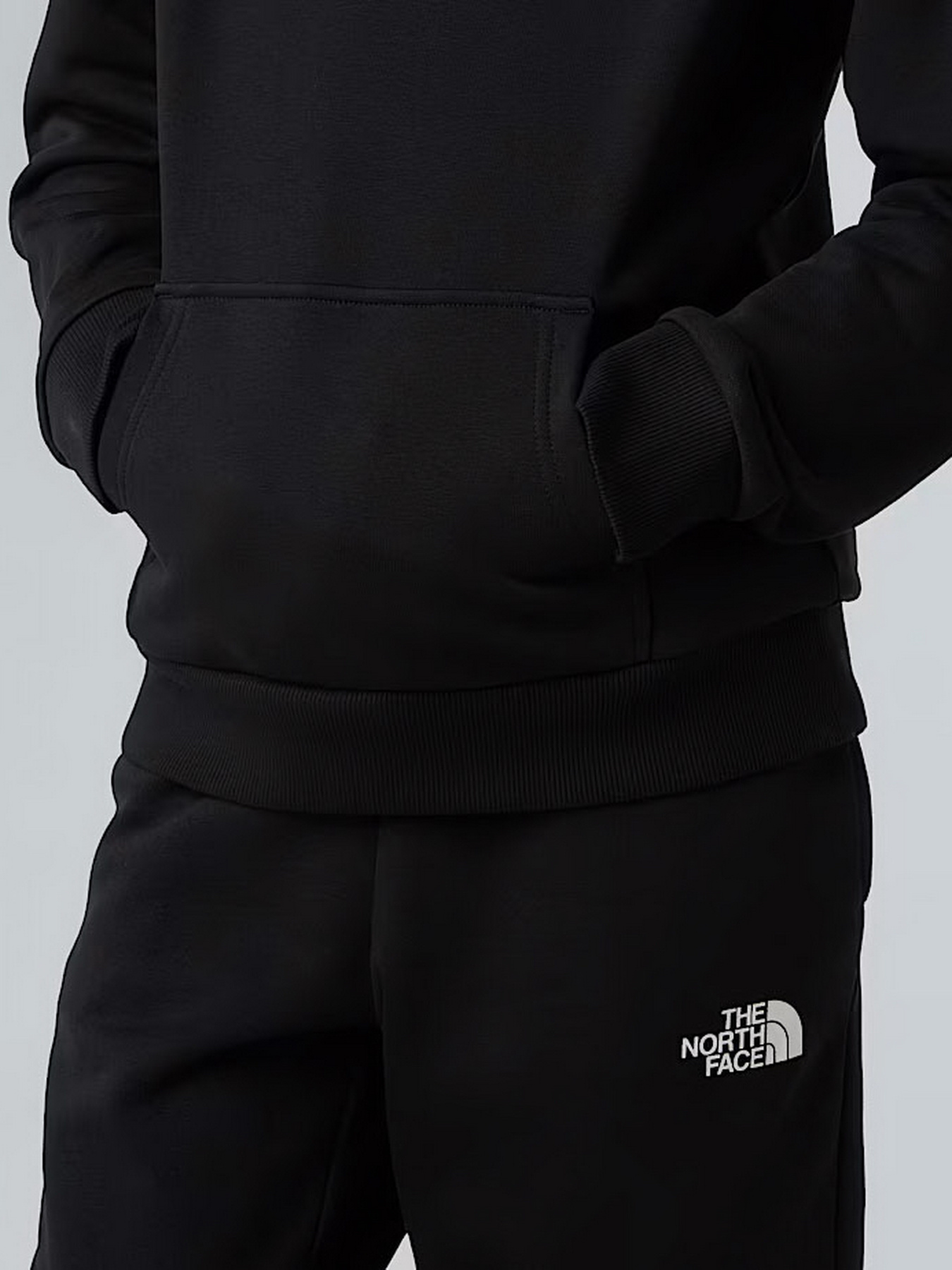 Худі та світшоти The North Face модель NF0A8AXVJK31 Худі та світшоти The North Face модель NF0A8AXVJK31 Фото