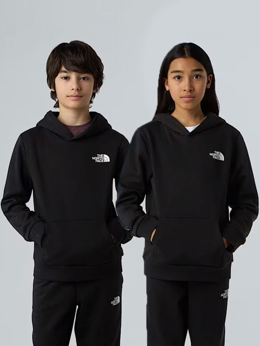 Худи и свитшоты The North Face модель NF0A8AXVJK31 Фото