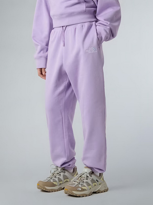 Брюки The North Face Essential модель NF0A8BHSQZI1 Фото