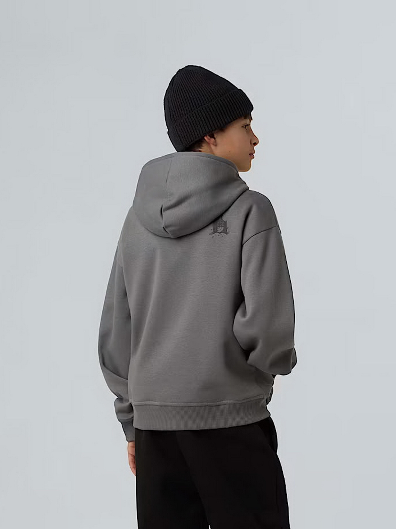 Худі та світшоти The North Face Sports Oversized модель NF0A8EAM0UZ1 Худі та світшоти The North Face Sports Oversized модель NF0A8EAM0UZ1 Фото