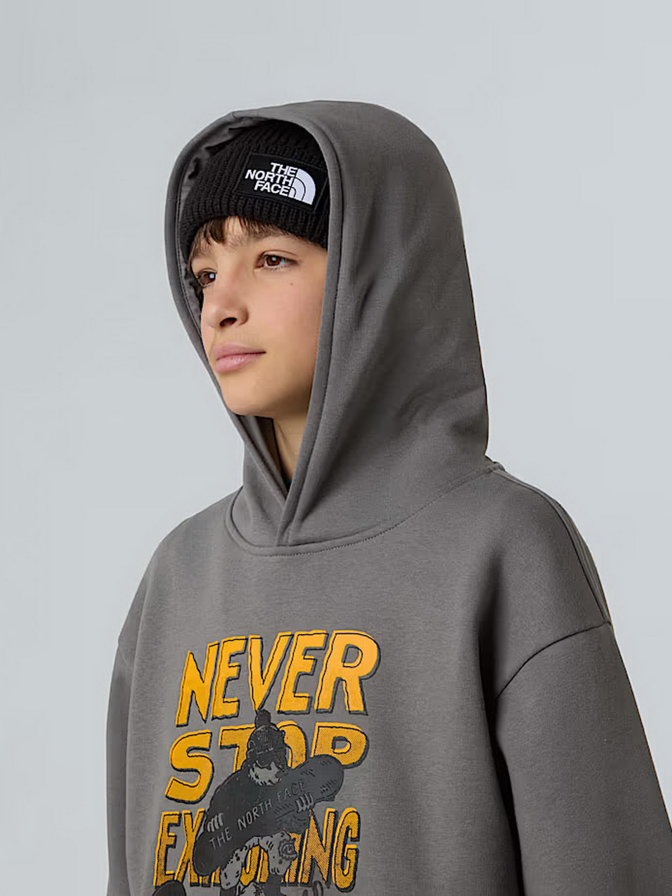 Худі та світшоти The North Face Sports Oversized модель NF0A8EAM0UZ1 Худі та світшоти The North Face Sports Oversized модель NF0A8EAM0UZ1 Фото
