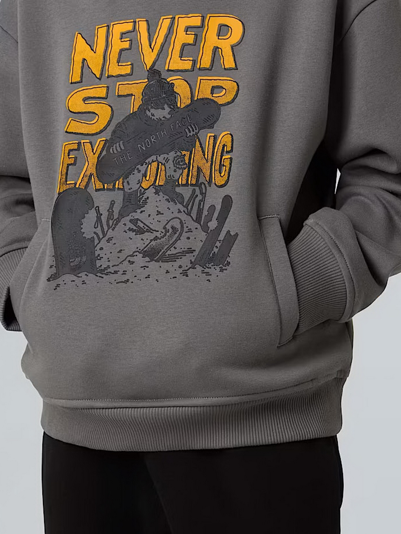 Худі та світшоти The North Face Sports Oversized модель NF0A8EAM0UZ1 Худі та світшоти The North Face Sports Oversized модель NF0A8EAM0UZ1 Фото
