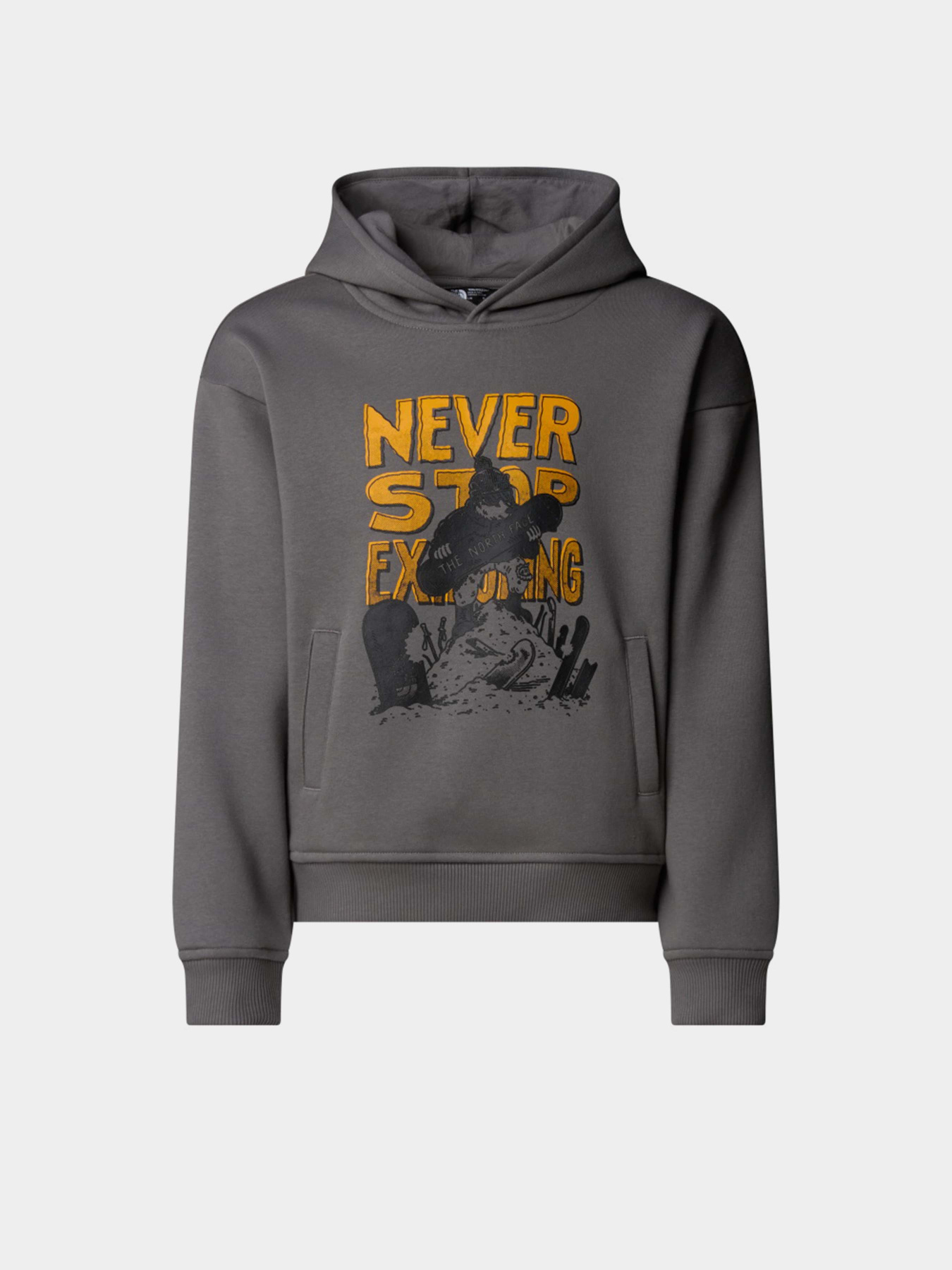 Худі та світшоти The North Face Sports Oversized модель NF0A8EAM0UZ1 Худі та світшоти The North Face Sports Oversized модель NF0A8EAM0UZ1 Фото