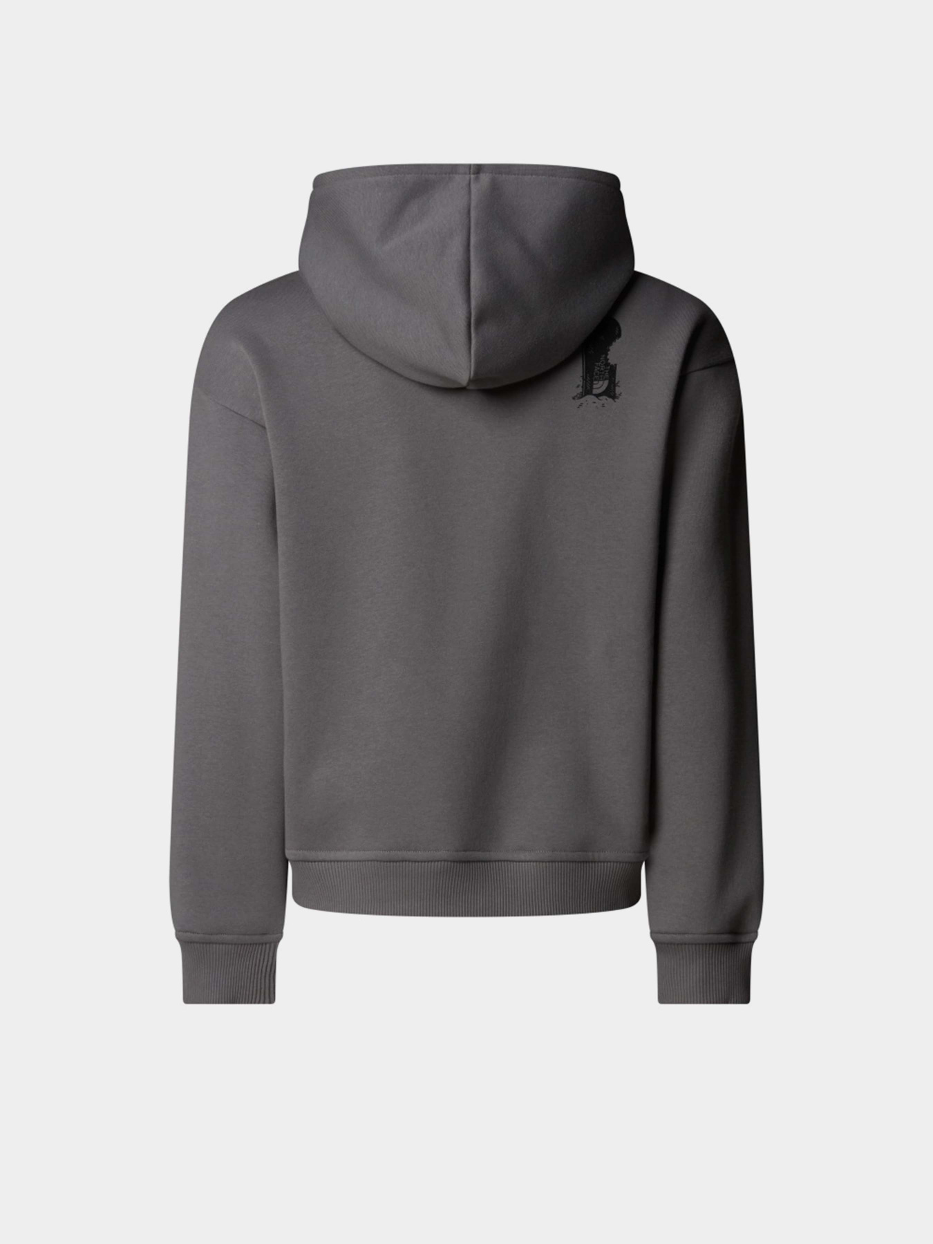 Худі та світшоти The North Face Sports Oversized модель NF0A8EAM0UZ1 Худі та світшоти The North Face Sports Oversized модель NF0A8EAM0UZ1 Фото