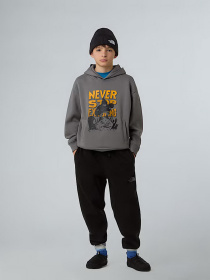 Худі та світшоти The North Face Sports Oversized модель NF0A8EAM0UZ1 Фото