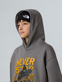 Худі та світшоти The North Face Sports Oversized модель NF0A8EAM0UZ1 Фото