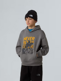 Худі та світшоти The North Face Sports Oversized модель NF0A8EAM0UZ1 Фото