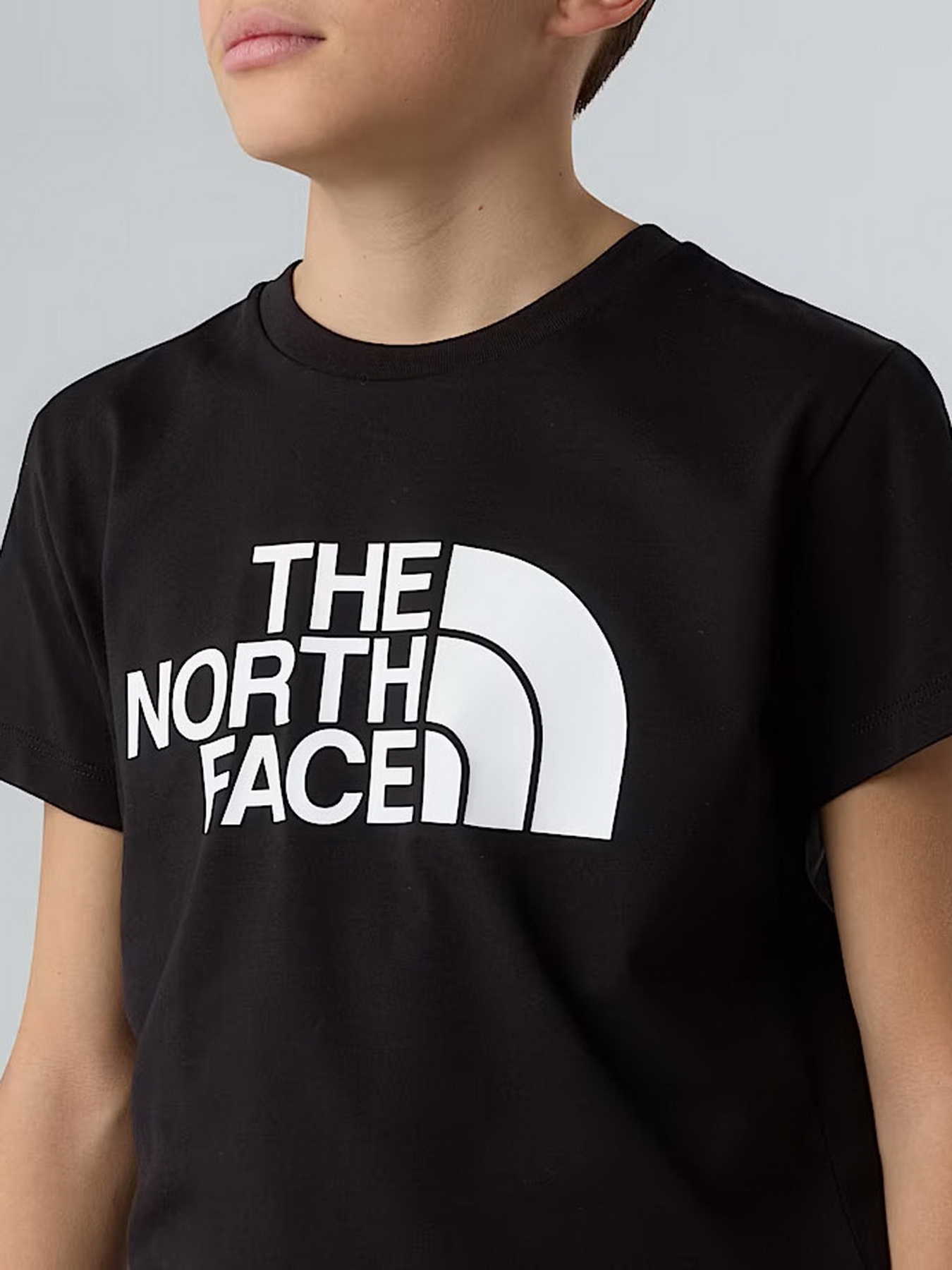 Футболки і поло The North Face Easy модель NF0A8EHGJK31 Футболки і поло The North Face Easy модель NF0A8EHGJK31 Фото