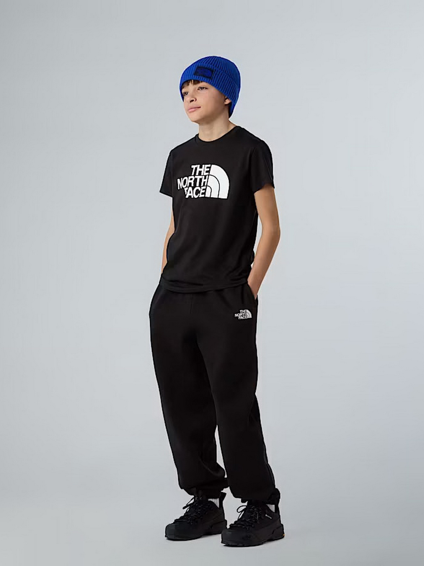 Футболки і поло The North Face Easy модель NF0A8EHGJK31 Футболки і поло The North Face Easy модель NF0A8EHGJK31 Фото