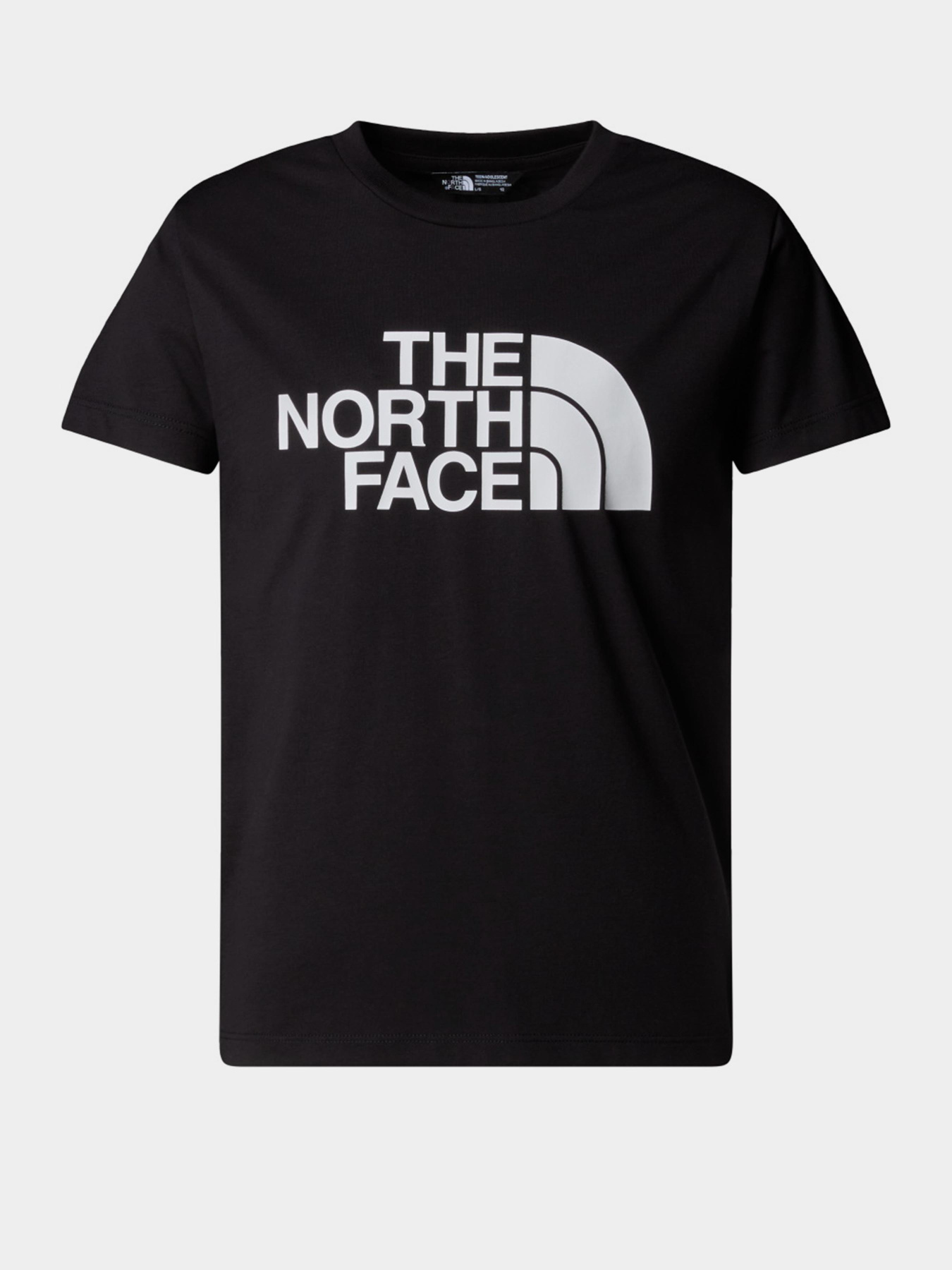 Футболки і поло The North Face Easy модель NF0A8EHGJK31 Футболки і поло The North Face Easy модель NF0A8EHGJK31 Фото