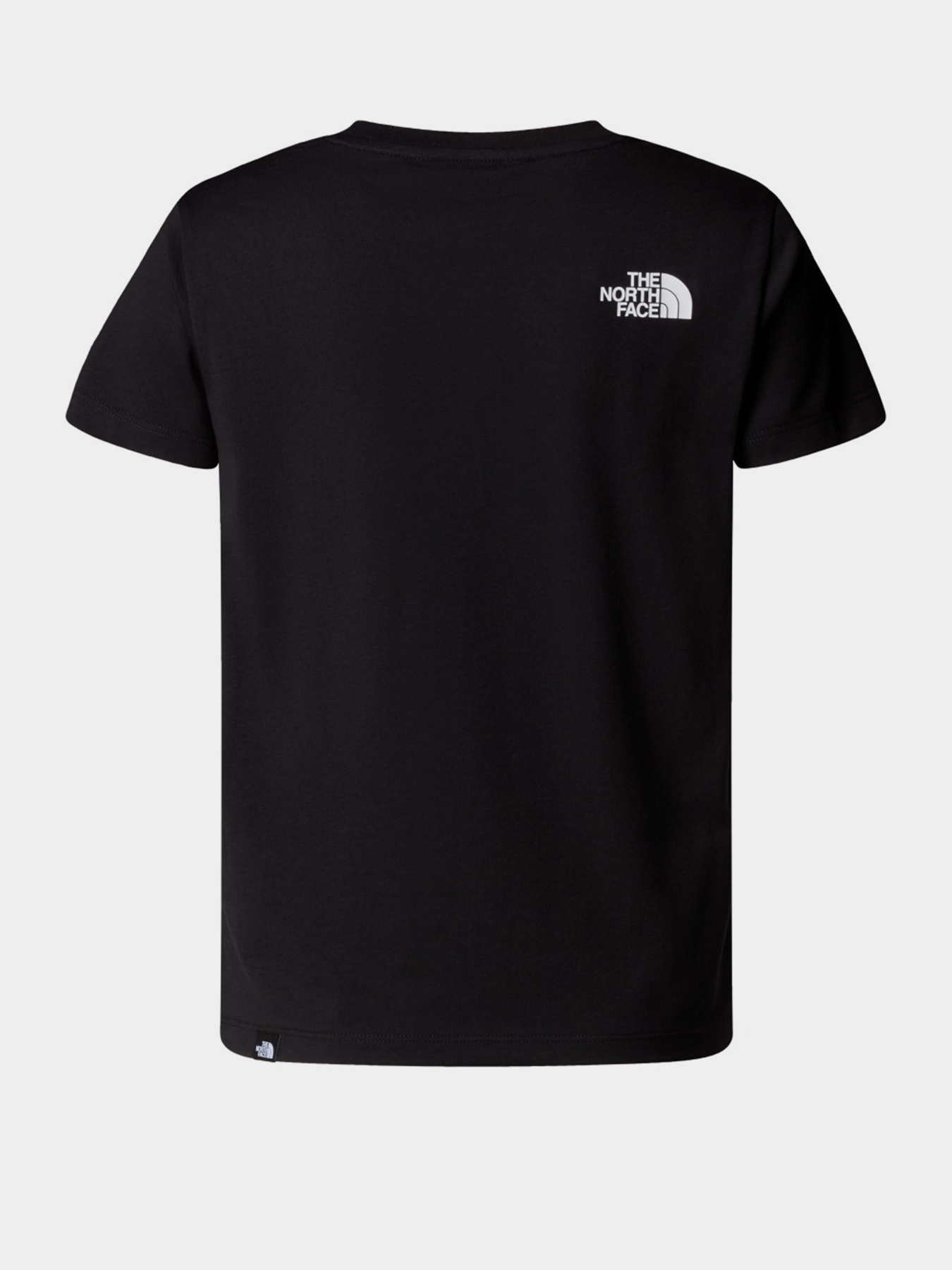 Футболки і поло The North Face Easy модель NF0A8EHGJK31 Футболки і поло The North Face Easy модель NF0A8EHGJK31 Фото