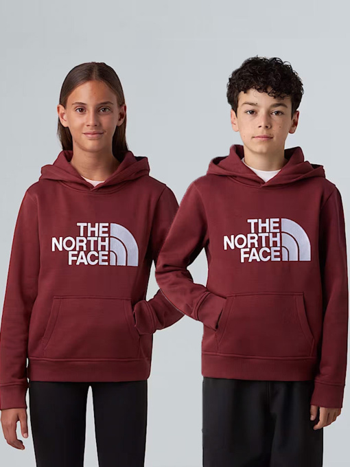 Худи и свитшоты The North Face модель NF0A8EHH0VO1 Фото