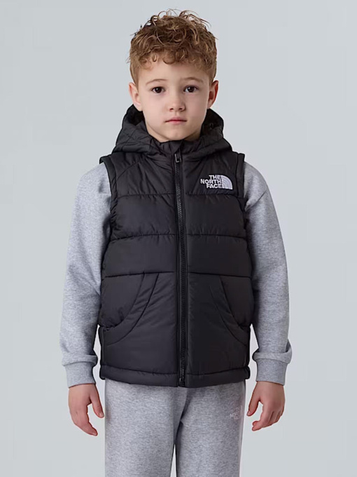 Куртки и дубленки The North Face Hooded модель NF0A84YJJK31 Фото