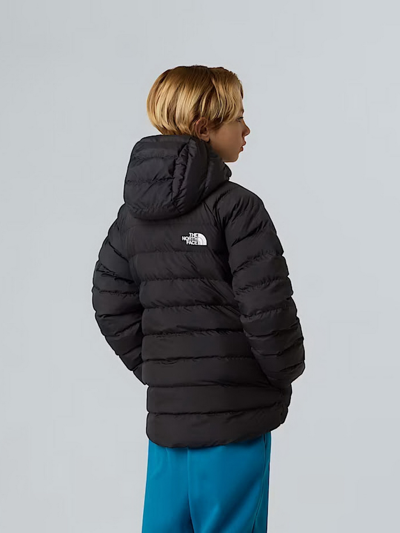 Куртки и дубленки The North Face модель NF0A88TWWOO1 Фото